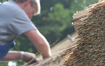 professional Crahan thatchers